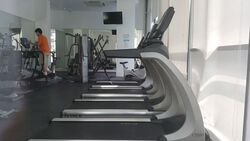 Oasis @ Elias (D18), Condominium #571330491